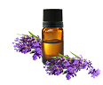 Geranium Oil